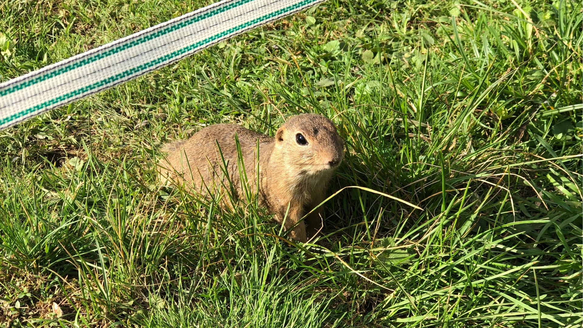 Muránska planina – 4 tipy, čo vidieť a ochutnať