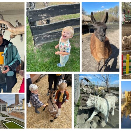 Kam s deťmi za zvieratkami v Bratislave a okolí