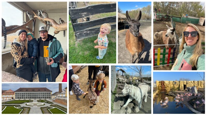 Kam s deťmi za zvieratkami v Bratislave a okolí
